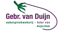 van Duijn