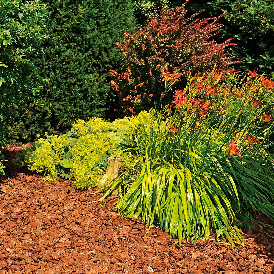 Paillages pour votre jardin