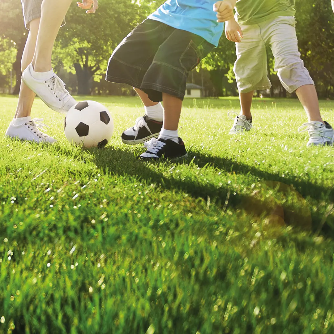 Semences gazon: choisir la bonne semence de gazon