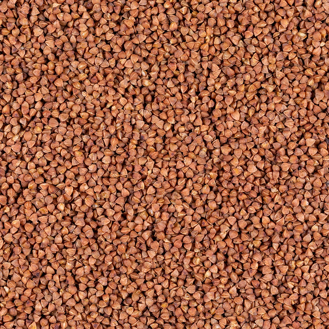 Hydro granules: pour votre jardin