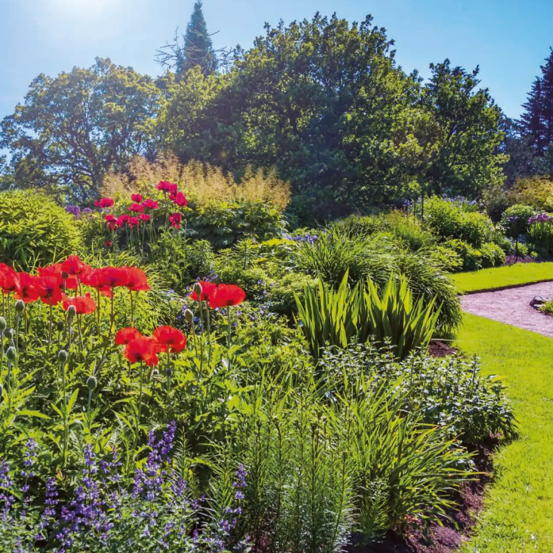 Engrais: nourrissez votre jardin pour une croissance saine