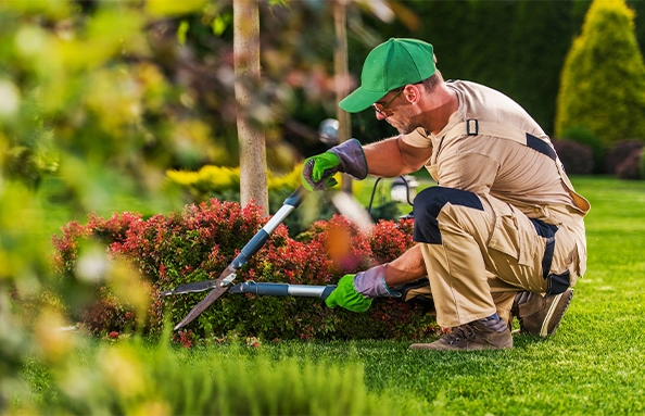 Humuforte Professionnel