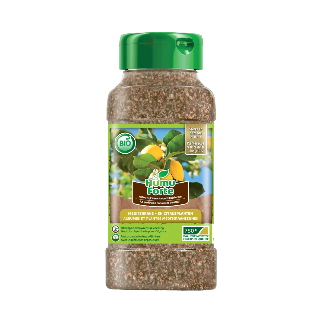 AGRUMES ET PLANTES MÉDITERRANÉENNES