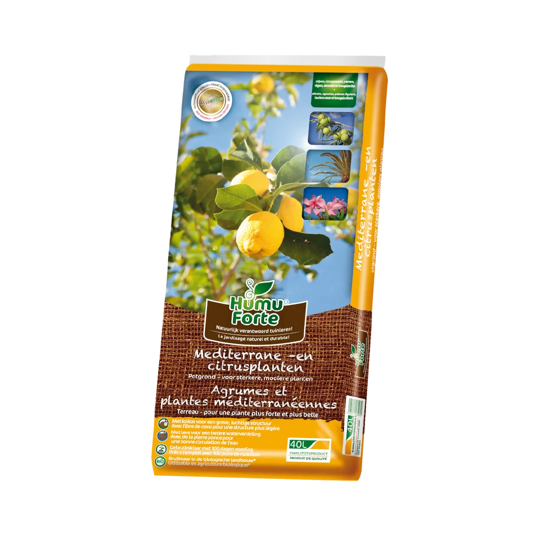 AGRUMES ET MÉDITERRANÉENNES