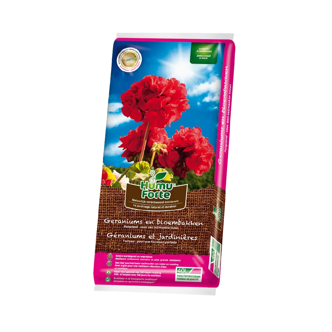 GÉRANIUMS ET JARDINIÈRES