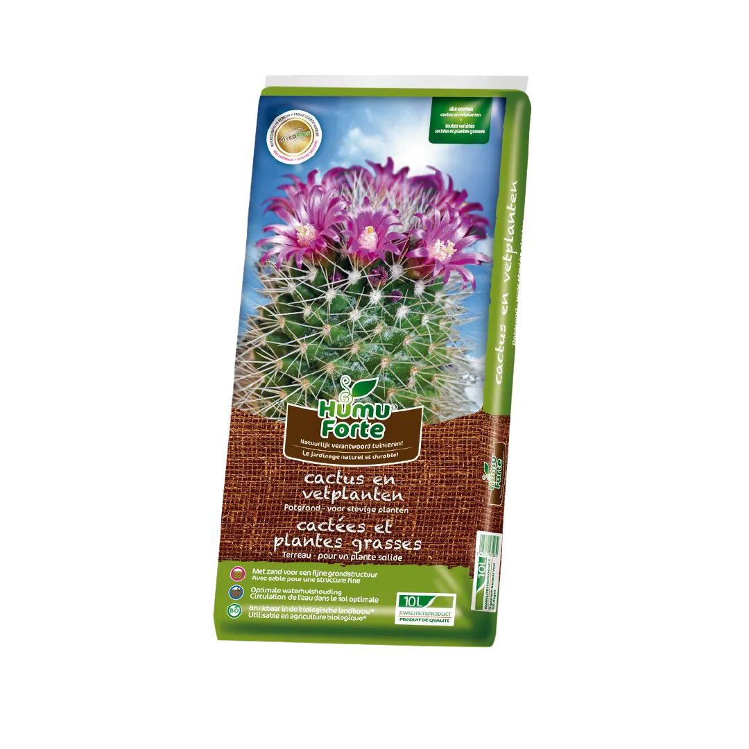 CACTÉES ET PLANTES GRASSES