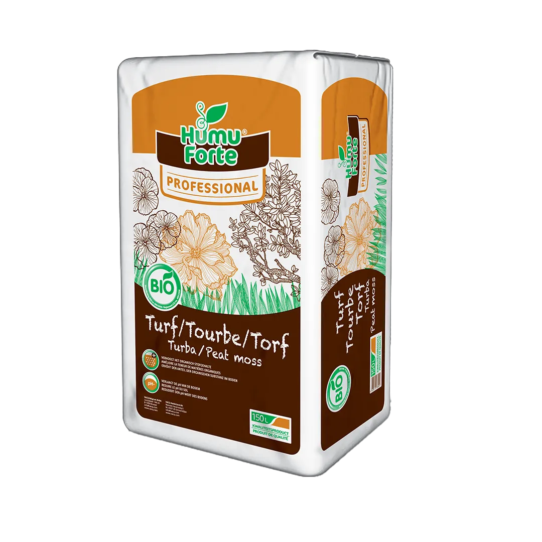 TOURBE BLONDE PRESSÉE