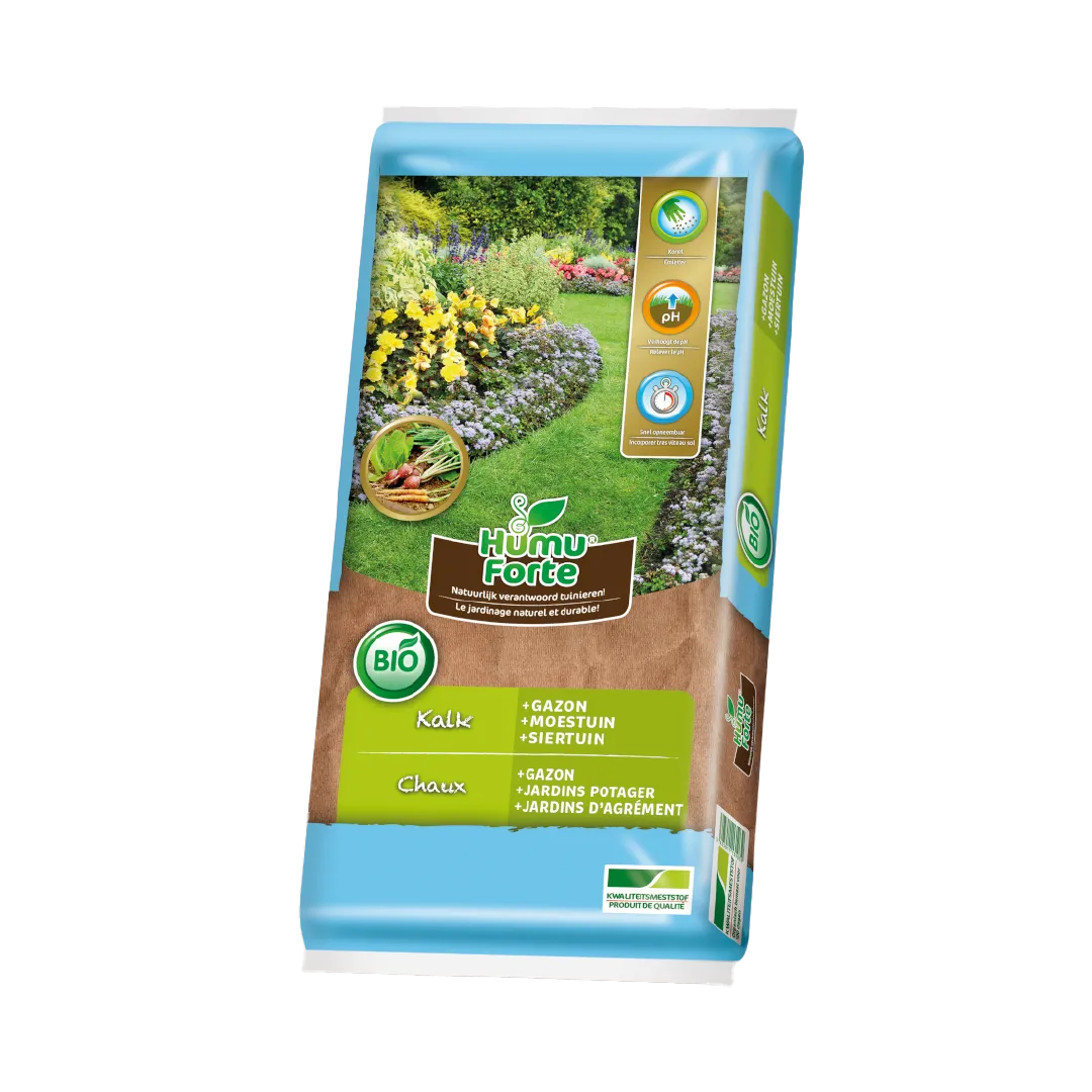 CHAUX (D'ALGUES MARINES FOSSILES DE COCCOLITHES)