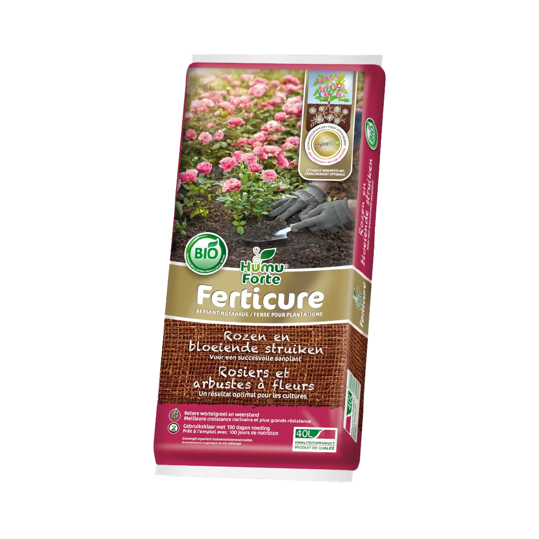 FERTICURE ROSIERS ET ARBUSTES À FLEURS