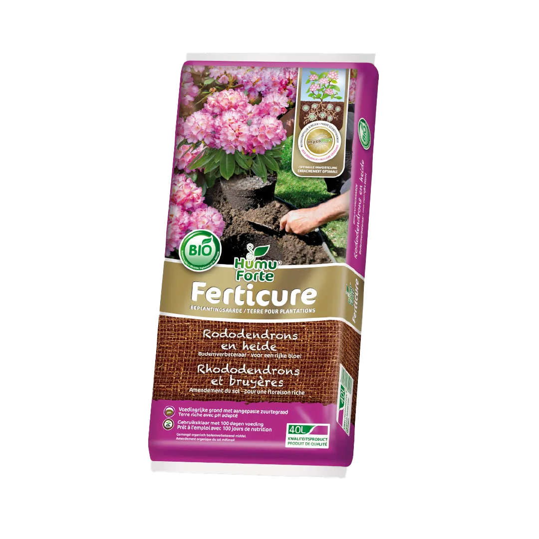 FERTICURE RHODODENDRONS ET BRUYÈRES
