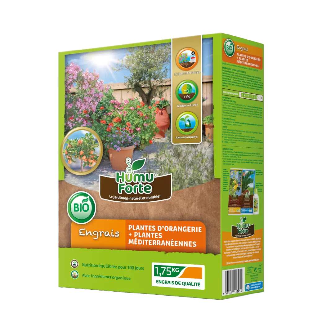 PLANTES D'ORANGERIE ET MEDITÉRRANÉENNES