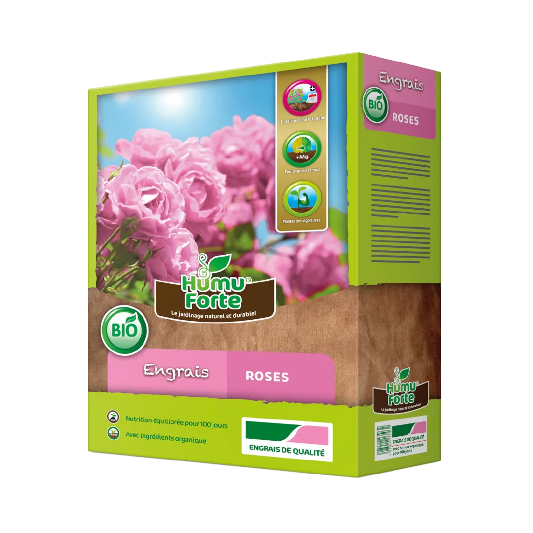 ROSES ET PLANTES FLEURIS