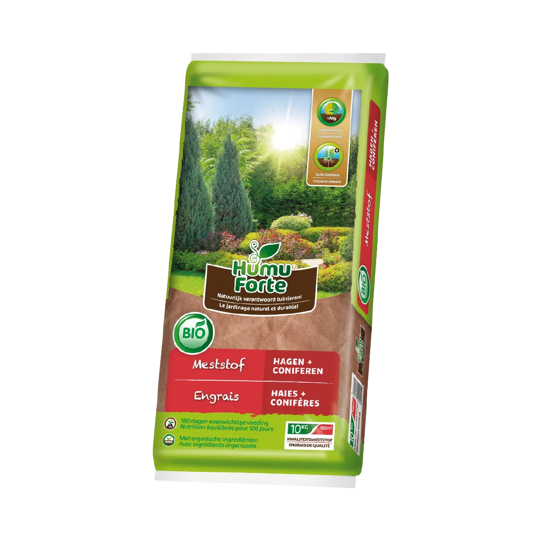 BUIS, HAIES ET CONIFERES