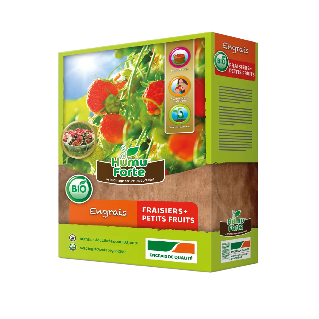 FRAISIERS ET PETIT FRUITS