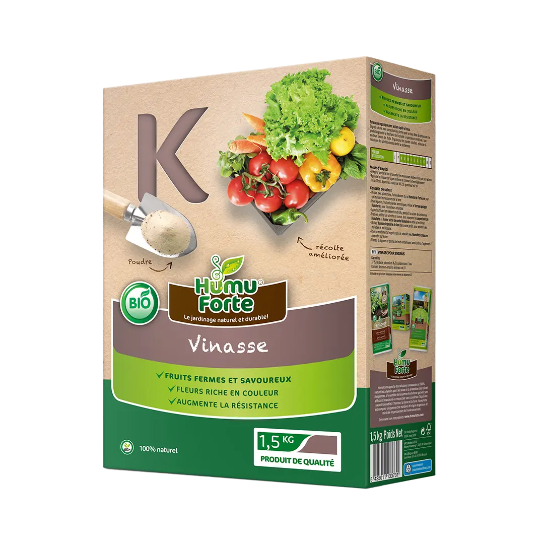 K (VINASSE) EXTRAIT DE VINASSES