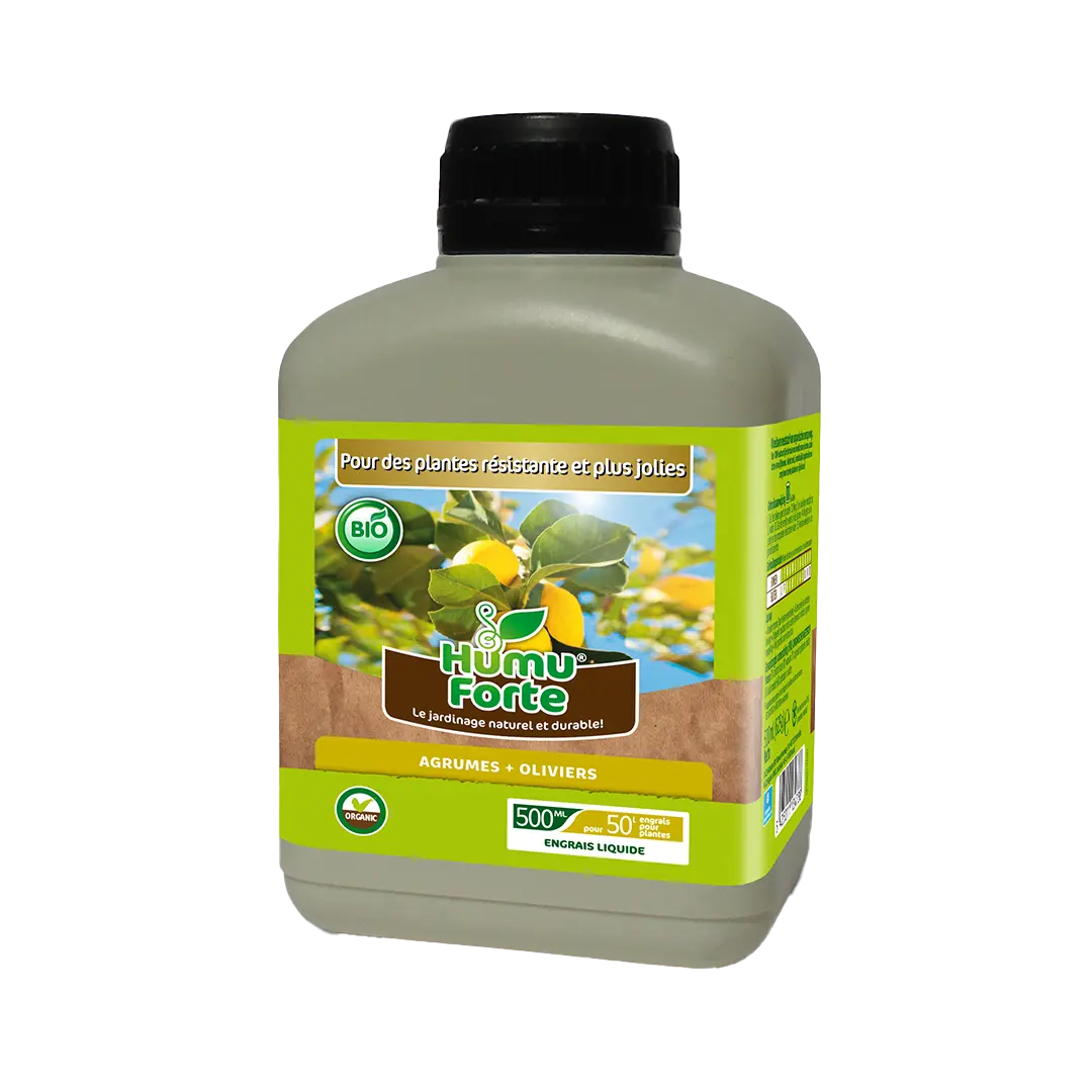 AGRUMES + OLIVIERS LIQUIDE