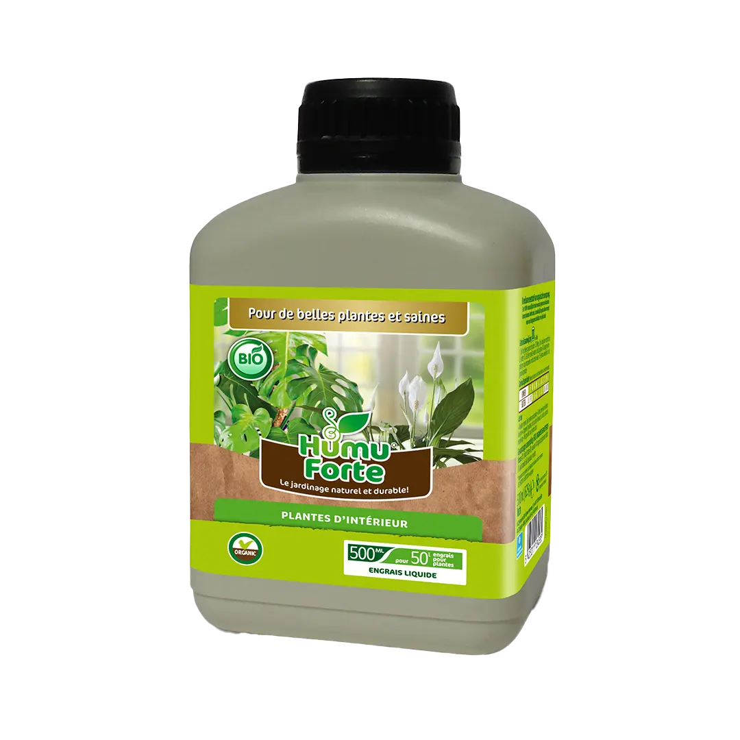 PLANTES D'INTÉRIEUR LIQUIDE