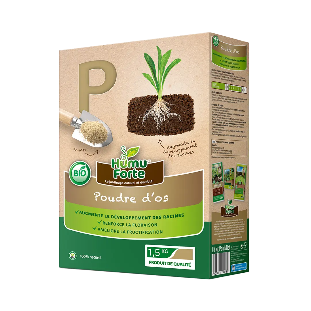 P (PHOSPHATE) POUDRE D'OS