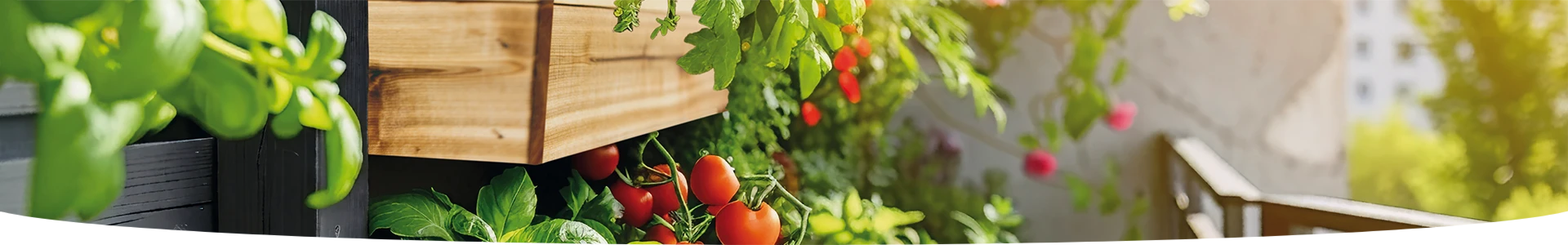 Hydro granules: pour votre jardin