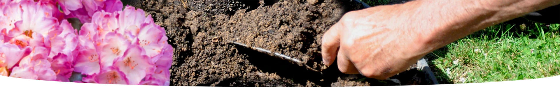FERTICURE RHODODENDRONS ET BRUYÈRES