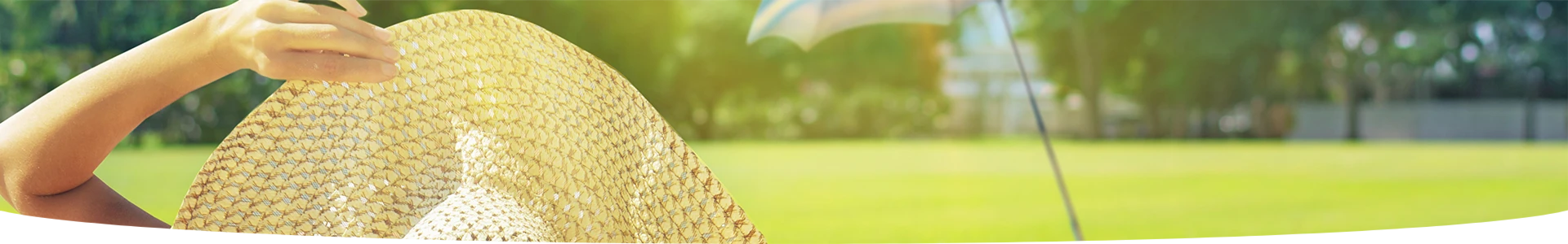 Semences gazon: choisir la bonne semence de gazon