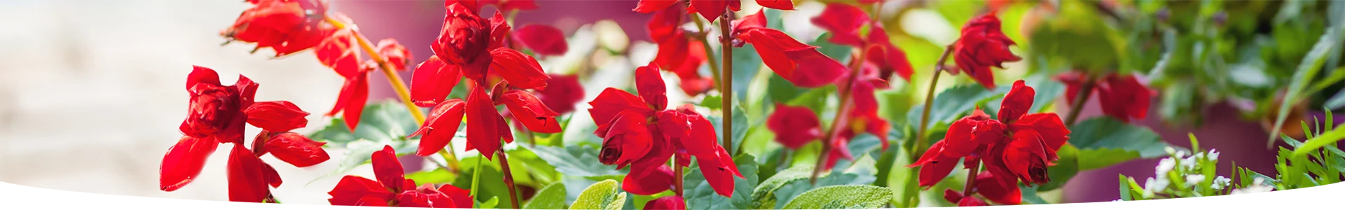 TERREAU UNIVERSEL SANS TOURBE