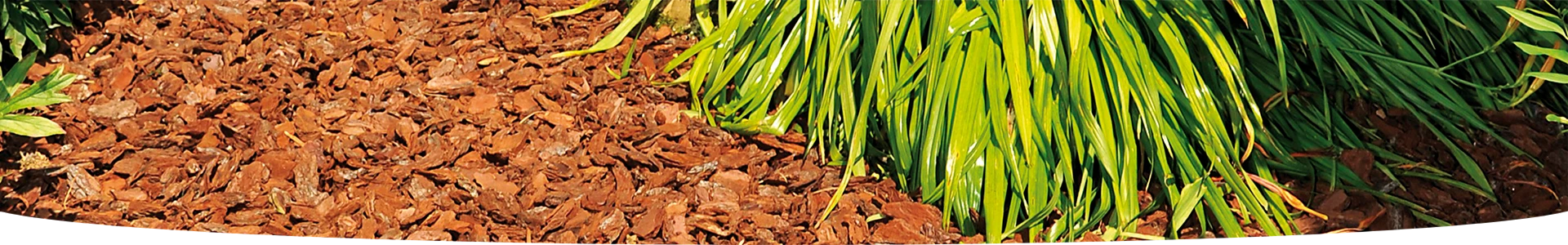 Paillages pour votre jardin