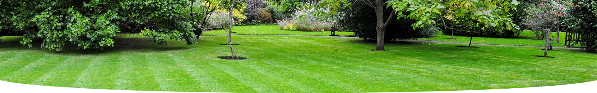 Semences gazon: choisir la bonne semence de gazon