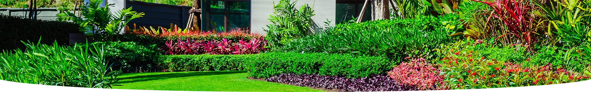 Engrais: nourrissez votre jardin pour une croissance saine