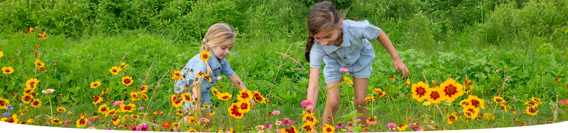 Jardinage naturel et responsable